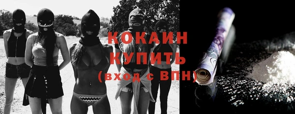 гидропоника Карталы