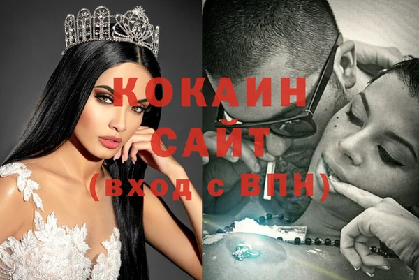 кокс Касимов