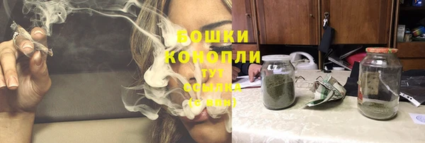 гидропоника Карталы