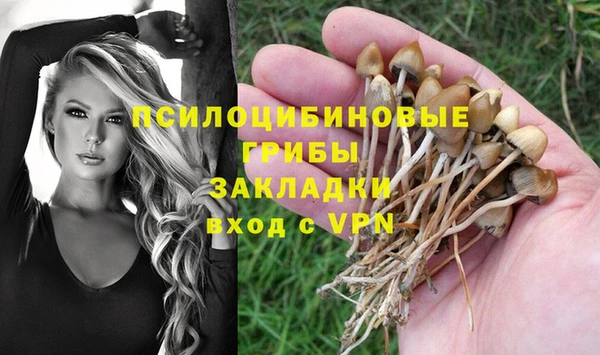 крисы Киреевск