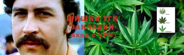 кокс Касимов