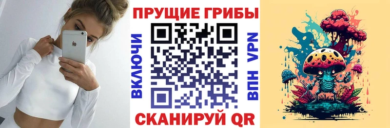 Купить  Междуреченск  Галлюциногенные грибы Psilocybine cubensis 
